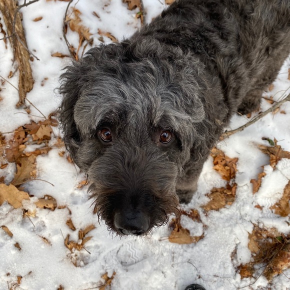 Meet your Posher, Aaron - Picture 1 of 1